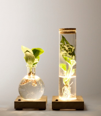 Water Plants with LED Lights - 2 Set