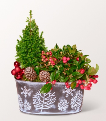 Christmas forest Arrangement in Bowl