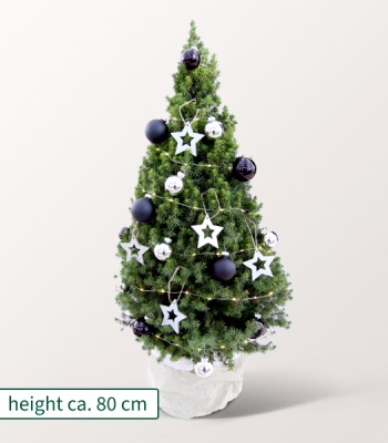 Christmas Tree with X-Mas Lights - Silver Dream