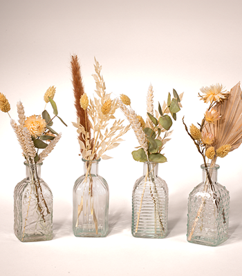 Dried Flowers in Vase