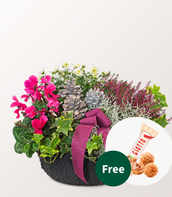 Herbstmix Arrangement With Chocolate