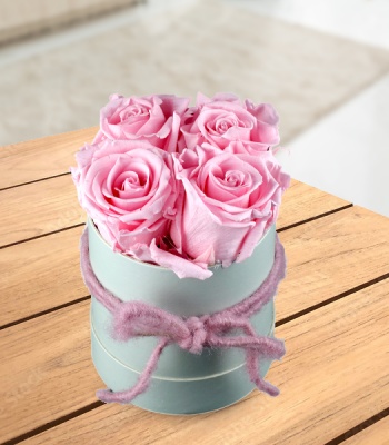 Light Pink Roses in Hatbox - 4 Stems