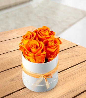 Orange Roses in Hatbox - 4 Stems