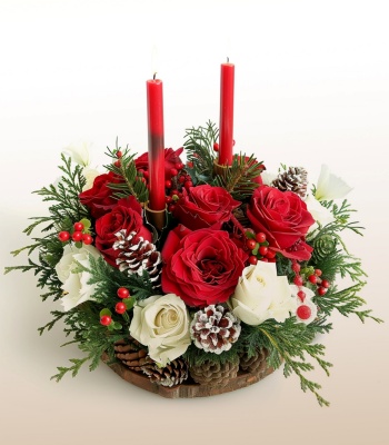 Christmas Flowers with Flower Pot