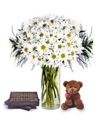 Amazing Daisy Bouquet with Chocolates & Teddy