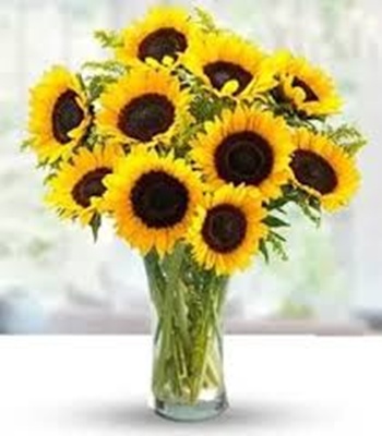 Bouquet of Sunflowers