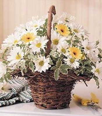 Daisies and Gerberas in Basket