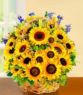 Sunflower Basket