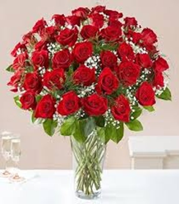 Red Roses - 50 Stems