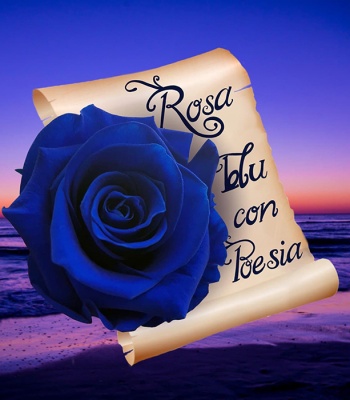 Blue Rose Bud