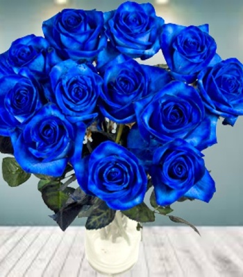 Blue Roses - 12 Stems