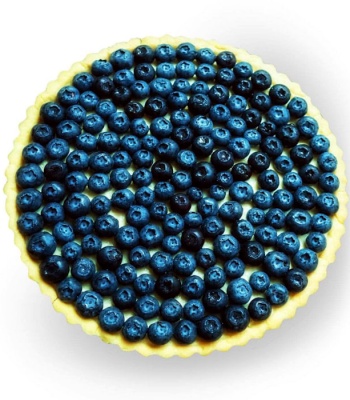 Blueberry Cream Tart