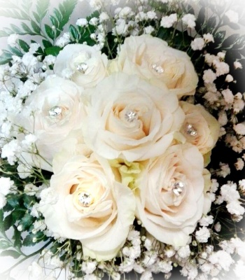 Christmas White Roses - Large Buds