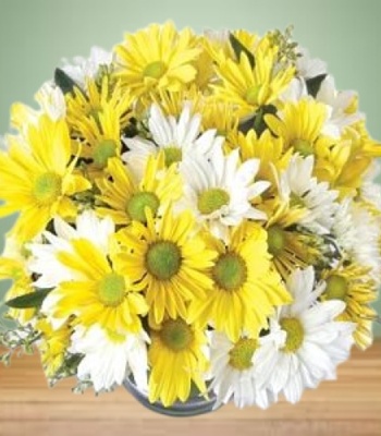 Daisy Flower Bouquet with Seasonal Flowers