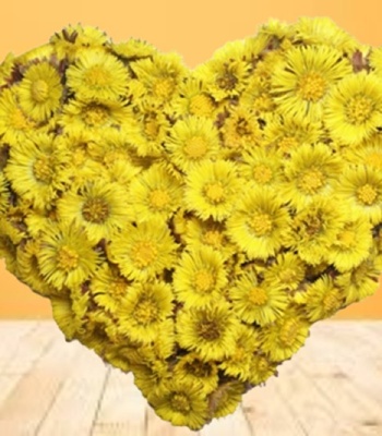 Funeral Wreath Heart Shape Yellow Gerberas