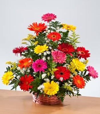 Gerbera Flower Basket - Assorted Gerberas