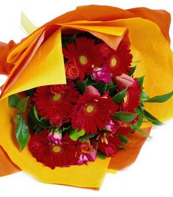 Gerbera Flower Bouquet