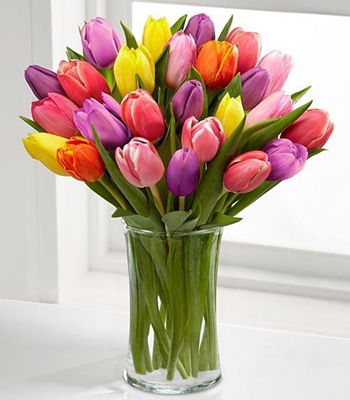 Mix Tulip Bouquet - Assorted Tulips