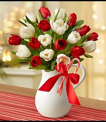 Red And White Tulips Bouquet