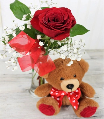 Red Rose and Teddy Bear Gift Combo