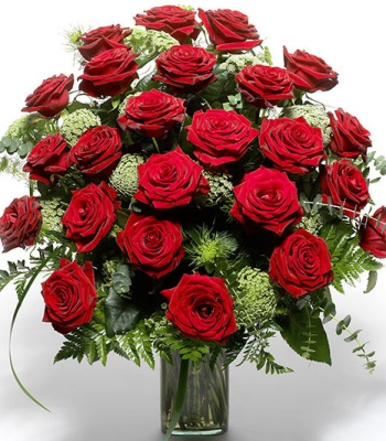 Red Roses - 24 Stems