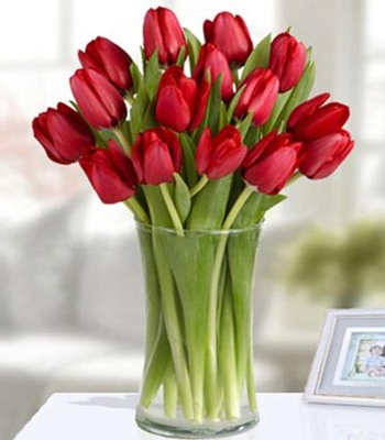 Red Tulip Bouquet With White Heart