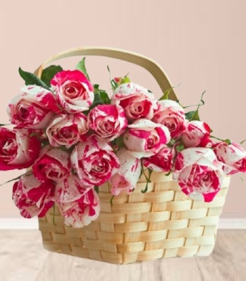 White Rose Basket Tinged With Pink