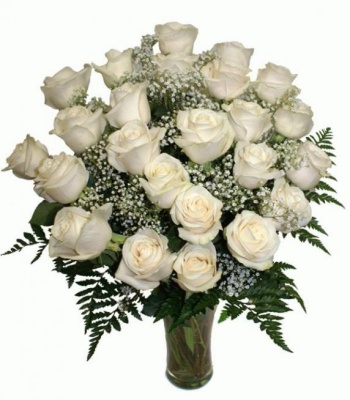 White Roses - 24 Stems