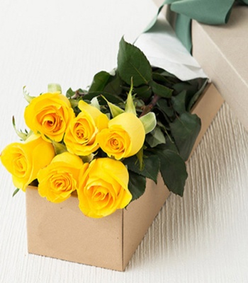 Yellow Roses - 24 Yellow Roses in Box