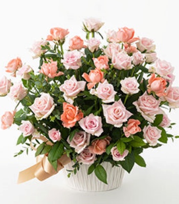 50 Pink Roses Arrangement