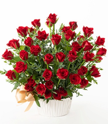 50 Red Roses Arrangement