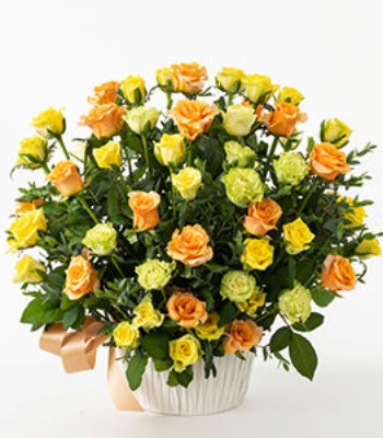 50 yellow and orange Roses Arrangement