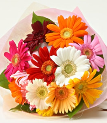 Gerbera Bouquet