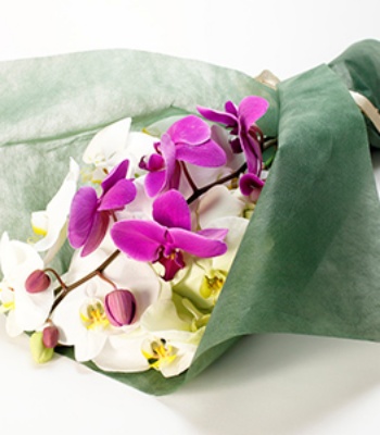 Large-flowered Orchid Bouquet