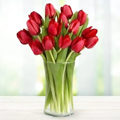 Red Tulips - 20 Stems