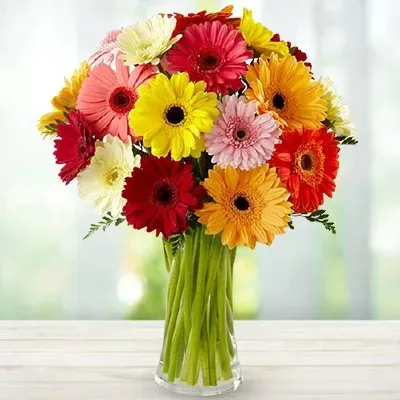 Gerbera Flower Arrangement - Mixed Color Gerberas in Vase