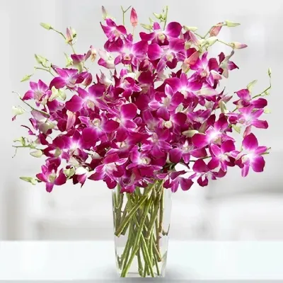 Lavender Orchid Arrangement