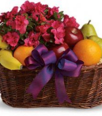 Azalea Plant with Fruit Basket