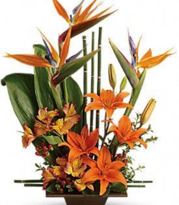 Birds Of Paradise Flower Arrangement