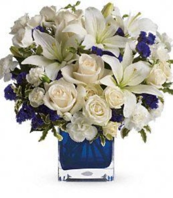 Blue and White Flowers in Vase