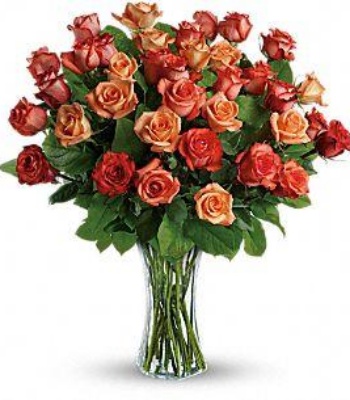 Orange Roses in Vase