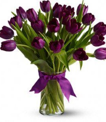 Purple Tulips