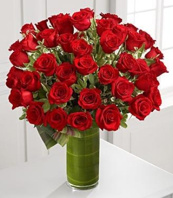 Red Roses - 48 Stems