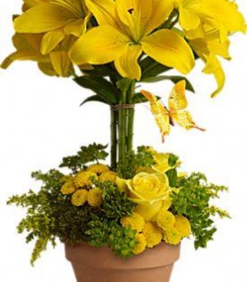 Yellow Flowers Bouquet