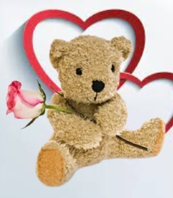 Love Teddy Bear