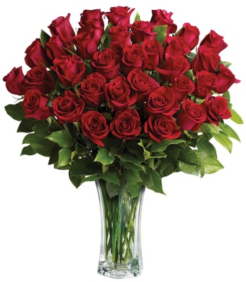 36 Red Roses in Vase