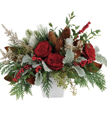 Christmas Berries and Roses