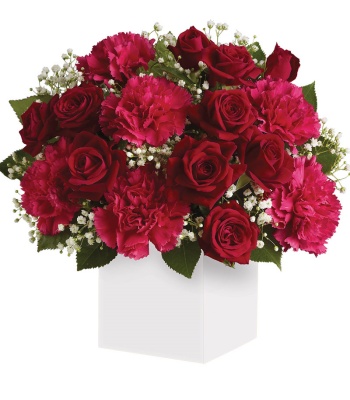 Christmas Red Flowers in White Box