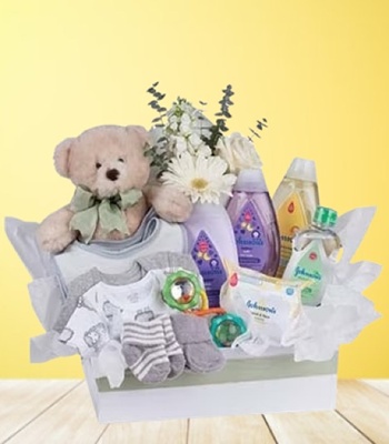 New Baby Gift Basket