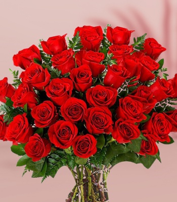 100 Red Roses